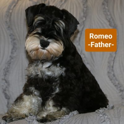 Romeo3_231208_194311